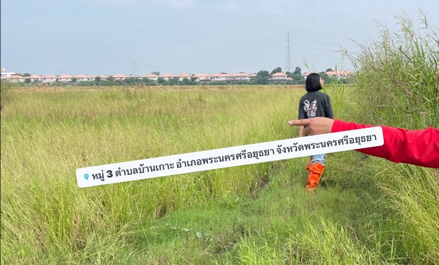 ที่ดินสายเอเซียบ้านเกาะอยุธยา 26-1-46.7 ไร่   .