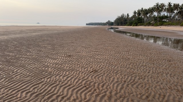 หาทรัพย์ดีดีท้าลมหนาว ที่ดินใกล้ทะเล  บางสะพานน้อย ประจวบคีรีขันธ  .