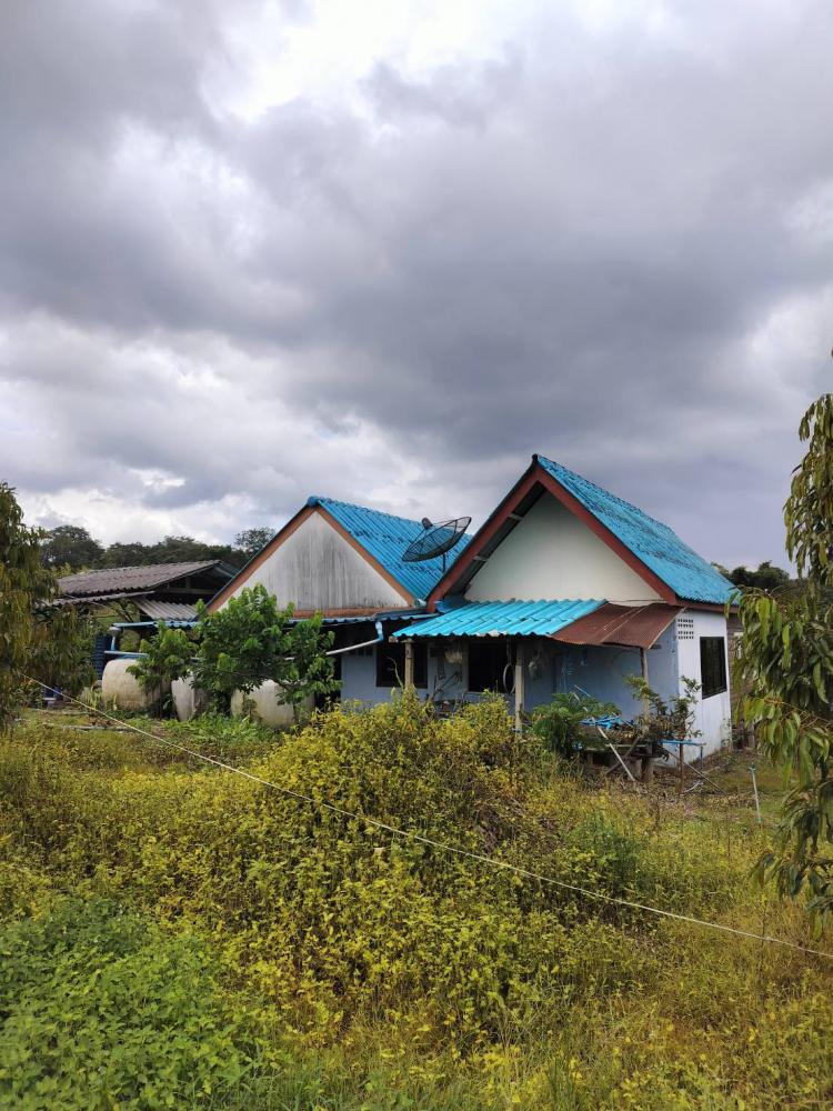 ขายที่ดินสวนทุเรียนติดลำธาร อำเภอโป่งน้ำร้อน จังหวัดจันทบุรี   .