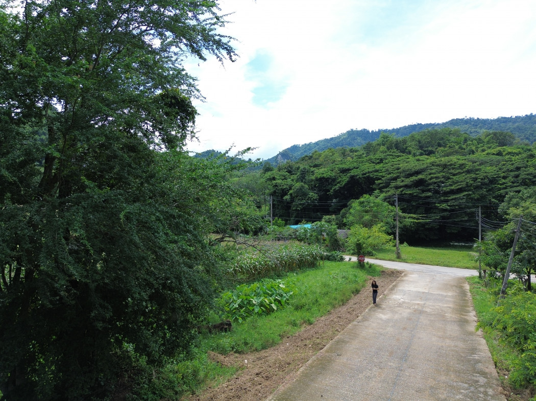 ขาย ที่ดิน เขาใหญ่ ต.​พญาเย็น​ อ.ปากช่อง 3 ไร่ 1 งาน 46 ตรว แค่เห็นวิว ก็มีความสุขแล้ว