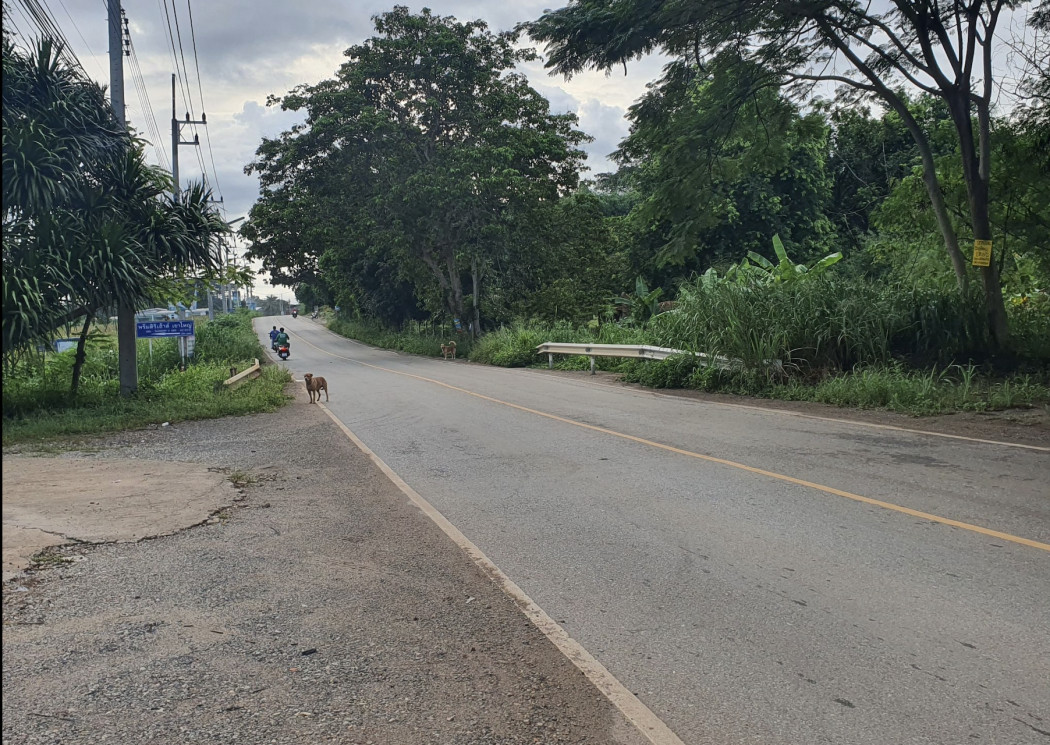 ขาย ที่ดิน เขาใหญ่ ต.​หมูสี​ อ.ปากช่อง 3 ไร่ ​ที่ติดลำตะคอง มีน้ำไหลผ่านตลอดปี​