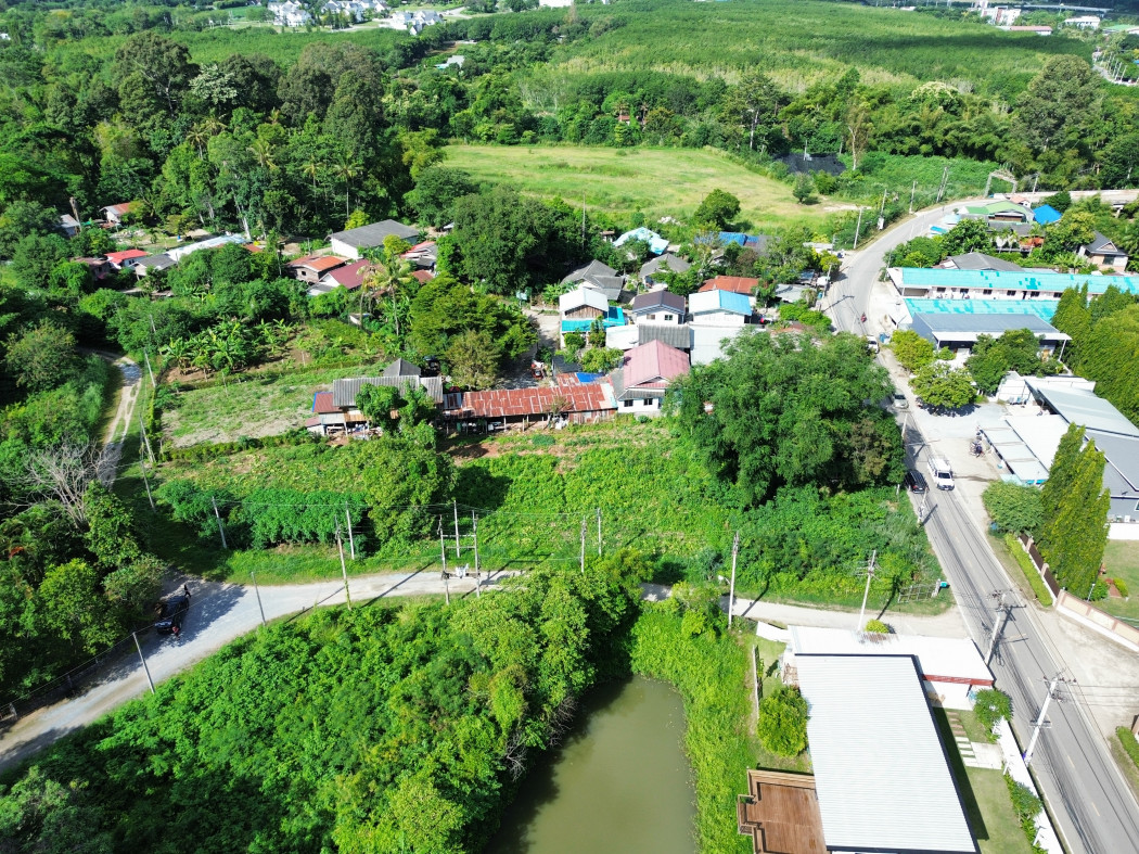 ขาย ที่ดิน เขาใหญ่ ต.​ขนงพระ​ อ.ปากช่อง 160 ตรว ​ทำเลดีที่สุดในย่านนี้​