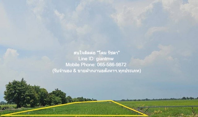 ขายที่ดินทุ่งนาติดถนน ต.คลองเปร็ง อ.เมืองฉะเชิงเทรา 13-0-24.9 ไร่  .