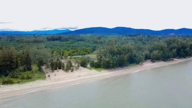 ที่ดินชุมพรหาดใต้เคี่ยมชุมพร หาดปากน้ำละเเม เริ่มต้นเพียง 1.99ล้า  .