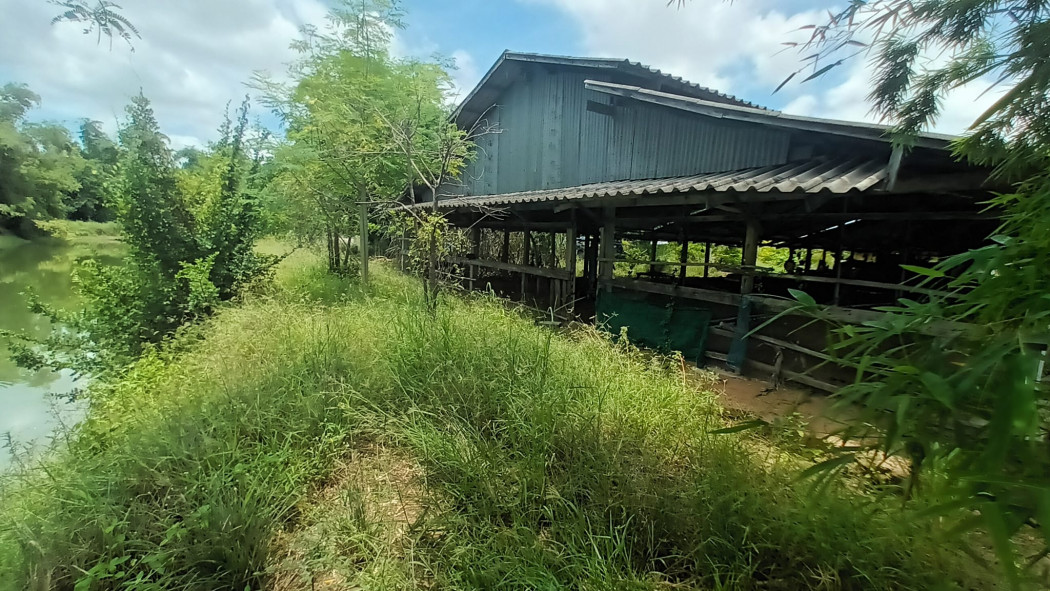 ขายโรงเรือนพร้อมที่ดินเนื้อที่ 1 ไร่ หนองตำลึงซอย7 น้ำ-ไฟพร้อม ใกล้นิคมอมตะชลบุรี-12กม. อ.พานทอง จ.ชลบุรี