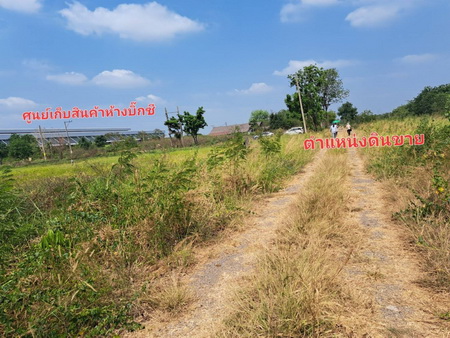 ที่ดินเปล่า  คลองหก อ.คลองหลวง จ.ปทุมธานี    .