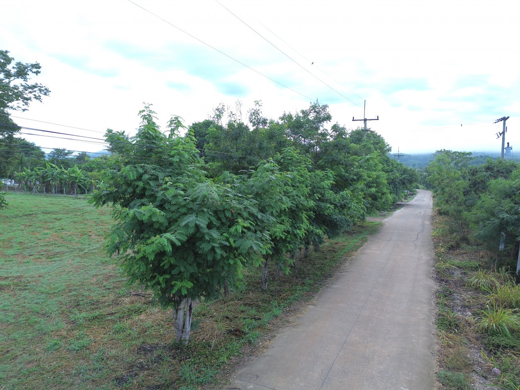 ขาย ที่ดิน เขาใหญ่ ต.​หมูสี​ อ.ปากช่อง 2 ไร่ ​แค่เห็นวิว ก็มีความสุขแล้ว​