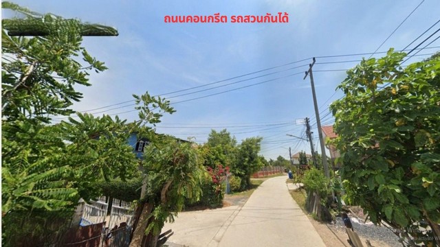 ขายที่ดิน 50.3 ตรว.ใกล้วัดสะแก(หลวงปู่ดู่)อ.อุทัย ต.ธนู อยุธยา  .