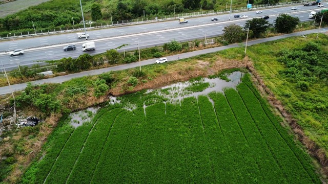 ที่ดินคลอง3 คลองหลวง ปทุมธานี 9ไร่ 356ตร.ว..