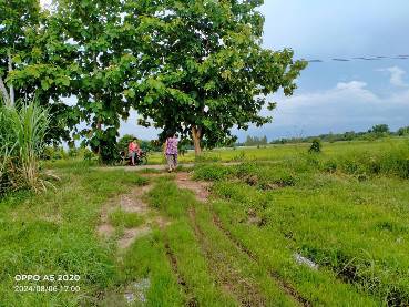 ขายที่ดิน 6 ไร่ อ.บ้านผือ หมู่บ้านบ้านผือ ซอยพนมรัตน์  อุดรธานี   .