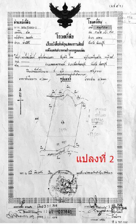 ขายที่ดิน. สวนยางพร้อมตัดได้เลย! และ ไม้กฤษณา อายุ 20 ปี