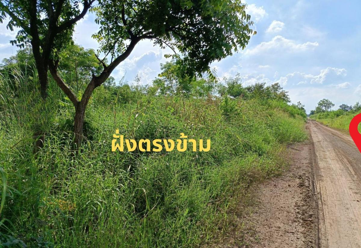 ขาย ที่ดินคลอง 6 ถึงราชมงคลธัญบุรี เพียง 5 นาที เนื้อที่ 150 ตร.ว  .