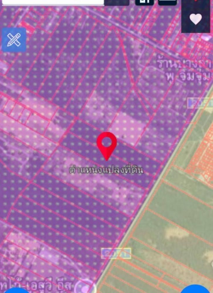 ขายที่ดินผังม่วงลายนิคมพัฒนาระยอง.