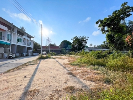 Beautiful plot of land in Koh samui for rent Area 108 square mete  .