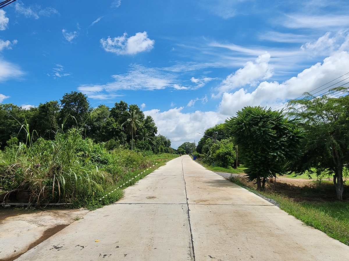 ขาย ที่ดิน 3-1-30 ไร่ ติดแม่น้ำเจ้าพระยา วิวภูเขา อ.เมืองชัยนาท จ.ชัยนาท