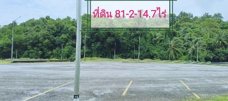 ขาย ที่ดิน ติดทะเล ติดท่าเรือ 81 ไร่ 214 ตร.วา จังหวัดระนอง: PR_aa00000528145: PR_aa00000528145