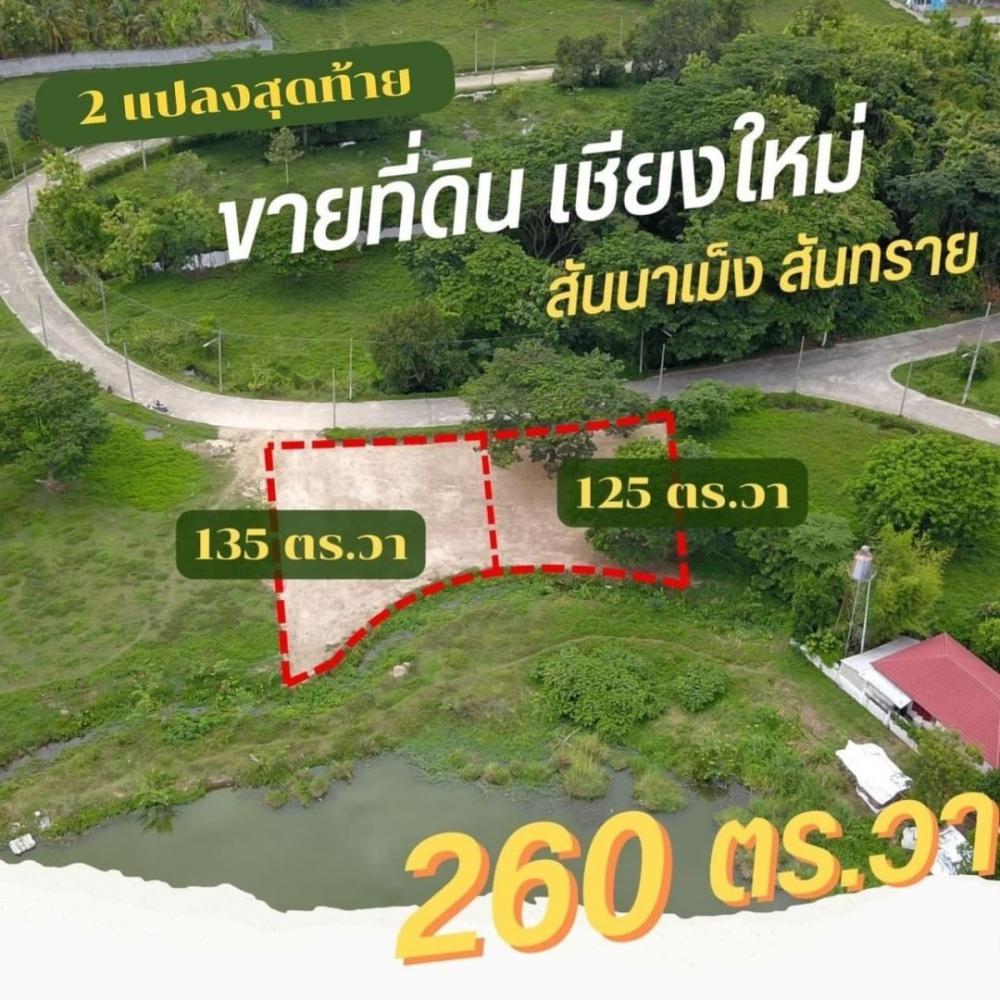 ถูกเวอร์ ที่ดินติดทะเลสาบ 1.69 ล้าน 260 ตรว. สันทราย ธรรมชาติสวย  .