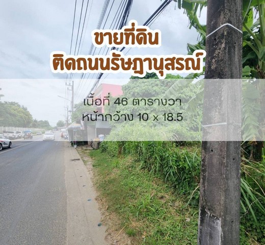 ขายที่ดิน ติดถนนรัษฎานุสรณ์ เทศบาลนครภูเก็ต   .