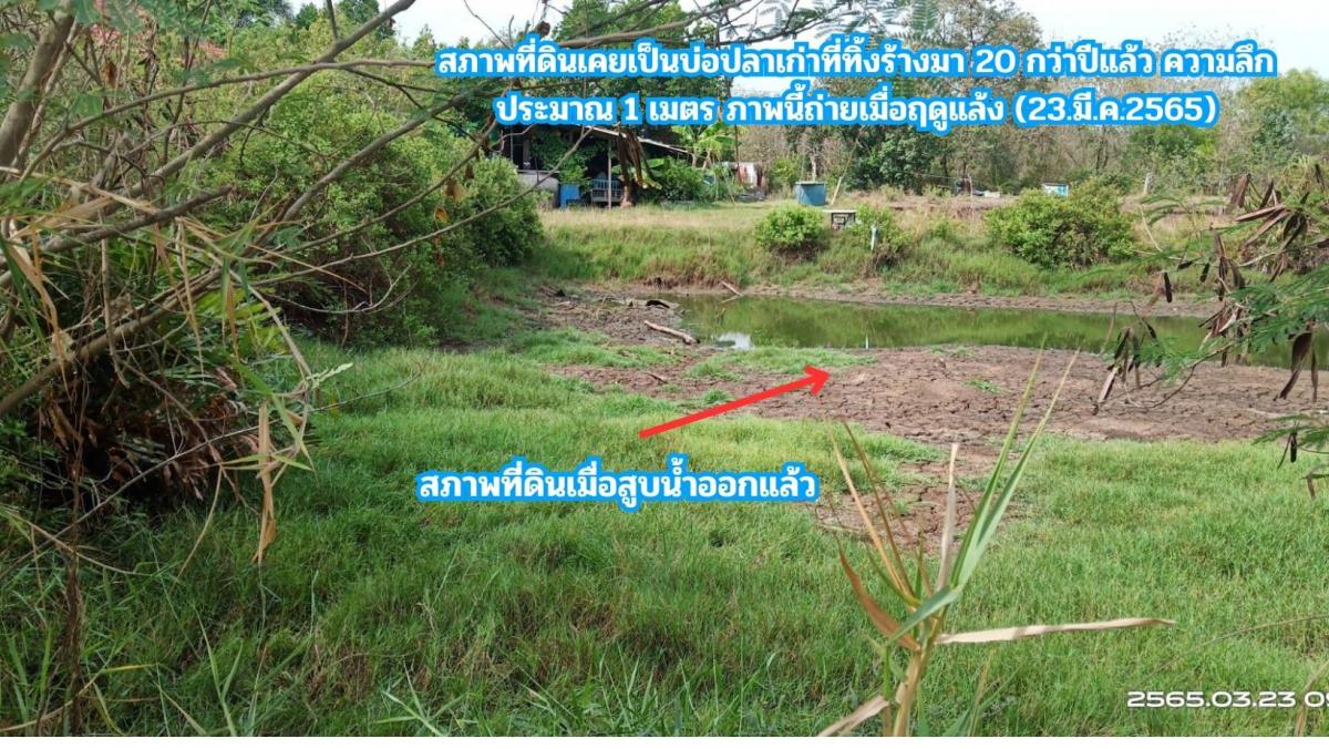 ขายที่ดิน ติดคลอง 2 ไร่ ใกล้ถนนสิริโสธร หรือถนน 314 (บางปะกง-ฉะเชิงเทรา)  ต.สนามจันทร์ อ.บ้านโพธิ์ จ.ฉะเชิงเทรา