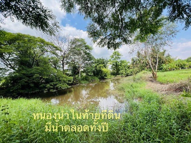  ขายถูกๆ ที่ดินบ้านหาดคำ อ.เมือง จ.หนองคาย  .