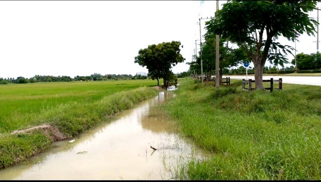 ขายที่ดิน 12 ไร่ ติดถนนสี่เลน อำเภอเมืองสุพรรณบุรี สุพรรณบุรี   .