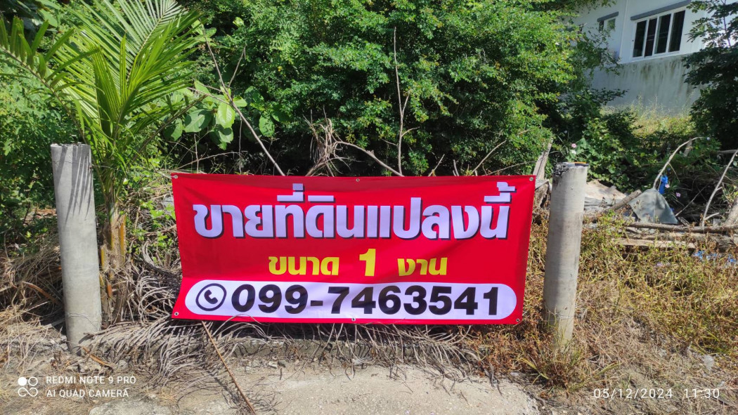 ขาย ที่ดิน พุทธมณฑลสาย 7 นครชัยศรี 1 งาน เหมาะสำหรับทำที่อยู่อาศัย: PR_aa00000593616