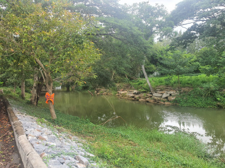 ขาย ที่ดิน เขาใหญ่ ต.ขนงพระ อ.ปากช่อง 3 ไร่ 2 งาน 96 ตรว ที่ติดลำตะคองคลอง มีน้ำไหลผ่านตลอดปี: aa00000484180: aa00000484180