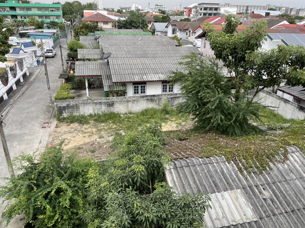 ขายที่ดิน เหมาะสร้างบ้าน ปุณณวิถี 47 สุขุมวิท101 บางจาก พระโขนง 55 ตรว ทำเลดี: aa00000552155: aa00000552155