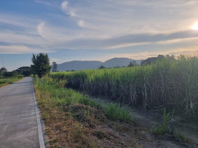 ขายที่ดิน เนื้อที่ 100 ไร่หนองอิรุณ บ้านบึง ชลบุรี  .