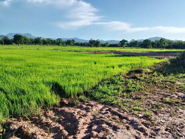 ที่ดินเปล่า 3  ไร่   ติดถนน  วิวสวย  ต.เมืองเก่า อ.เมือง  จ.สุโขท  .