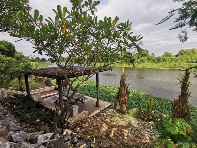 บ้านติดน้ำ บรรยายกาศร่มรื่น หลังใหญ่ ใกล้ธรรมชาติ สันป่าตอง  .