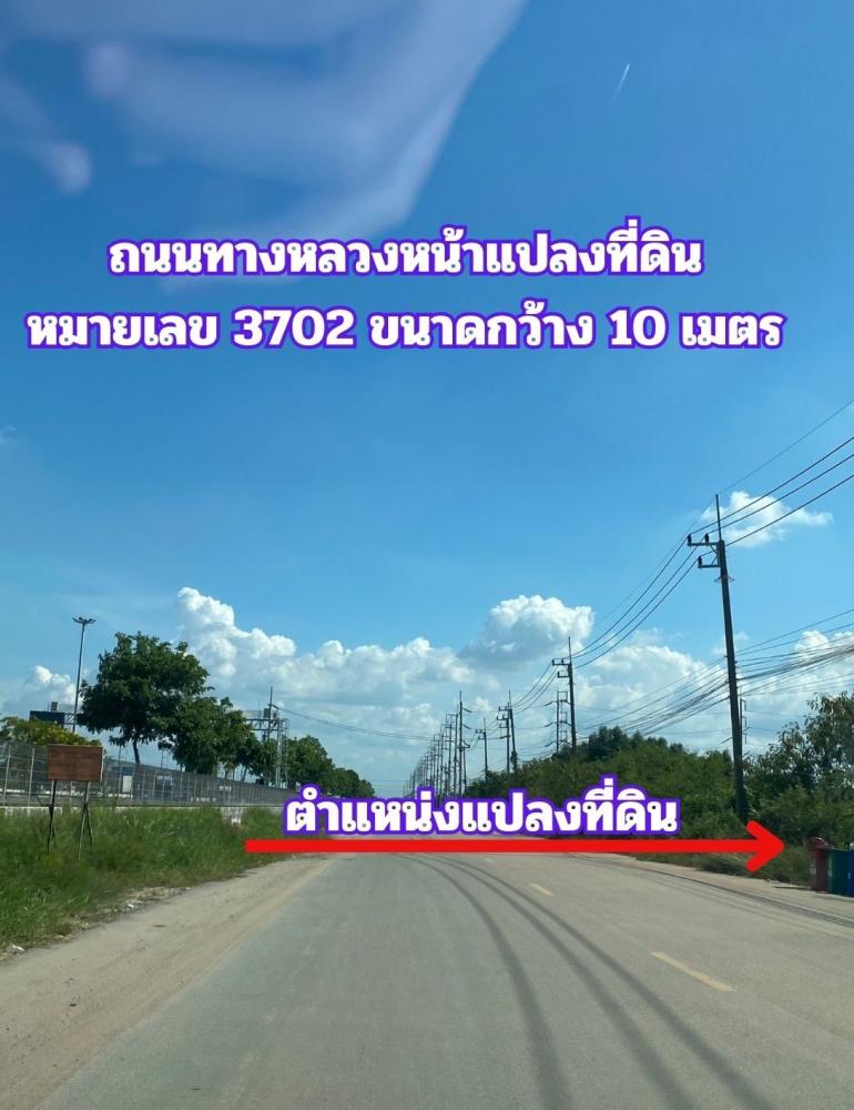 ขายที่สีม่วง 3 ไร่ ผังอีอีซี ติดถนนทางหลวงหมายเลข 3702 รถเทรลเลอร์เข้าได้ อยู่ติดนิคมบลูเทค ต.เขาดิน อ.บางปะกง จ.ฉะเชิงเทรา