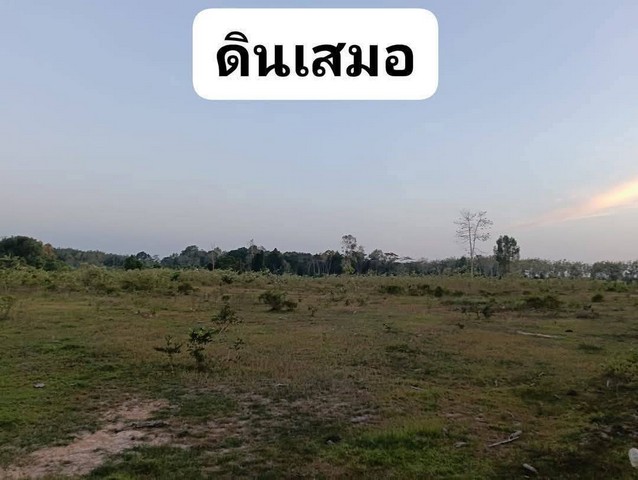 ขายที่ดิน ใกล้สนามบินตรัง  อำเภอเมือง จังหวัดตรัง  .