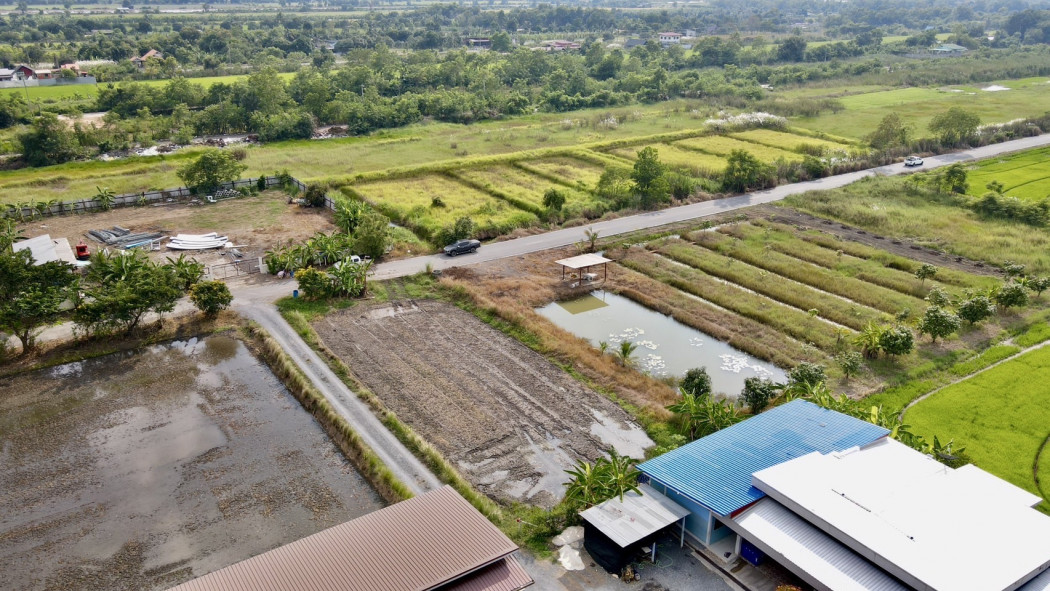 ขายที่ดินคลอง11 หนองเสือ 237 ตรว. ติดถนน2ด้านเข้าซอยจากถนน5023เพียง450เมตร จ.ปทุมธานี: aa00000598139