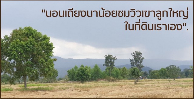 ขายที่ดินเริ่ม 1ไร่ 195,000บ.ฟรีโอน ต.นิยมชัย สระโบสถ์ ลพบุรี  .