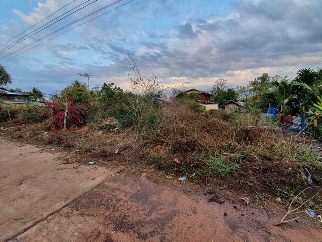 ขายที่ดินดอนขี้เหล็กบ้านดุง เจ้าของขายเอง ใกล้วัด อยู่ในแหล่งชุมช  .