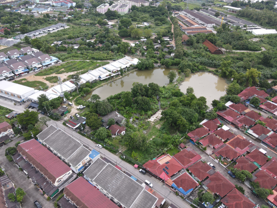 ขายที่ดิน ศรีราชา ถนนเครือสหพัฒน์ (ใกล้ท่าเรือแหลมฉบัง เขตชุมชนเมืองมีความเจริญ) 10-1-93 ไร่ ผังสีส้ม ถนนกว้าง 8 m. เหมาะสร้างโครงการจัดสรร: aa00000537675