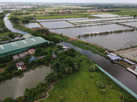 ขาย ที่ดิน ที่ดินลาดกระบัง ใกล้สุวรรณภูมิ Airport 8 Km.—ติดถนนกว้าง 6 เลน (เหมาะสร้างหมู่บ้าน โครงการจัดสรร แนวราบ) 544-2-98.4 ไร่: aa00000462496