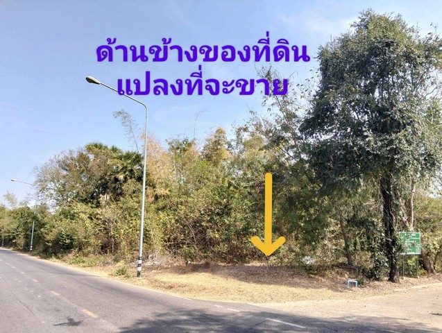 ขายที่ดิน ประโคนชัย บุรีรัมย์ 3-1-20 ไร่ ดินติดชลประทาน  .