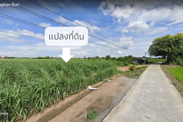 ที่ดิน ต.ดอนปรู อ.ศรีประจันต์ จ.สุพรรณบุรี  .