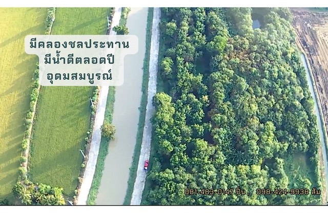 ที่ดินสวนป่า บ้านรางหางม้า ต.ปลายนา อ.ศรีประจันต์ จ.สุพรรณบุรี   .