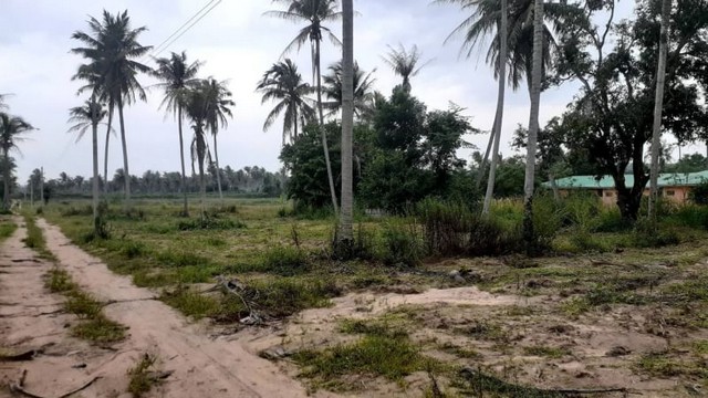 ขายที่ดินปลวกแดง ระยอง   .