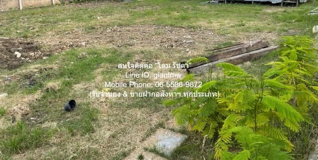 ขายที่ดินเปล่าถมแล้ว (บางส่วน) ใกล้ถนนพุทธมณฑลสาย 4 100 ตร.ว.  .