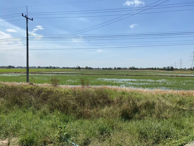 ขายที่ดินอยุธยาติดถนนสวย  .