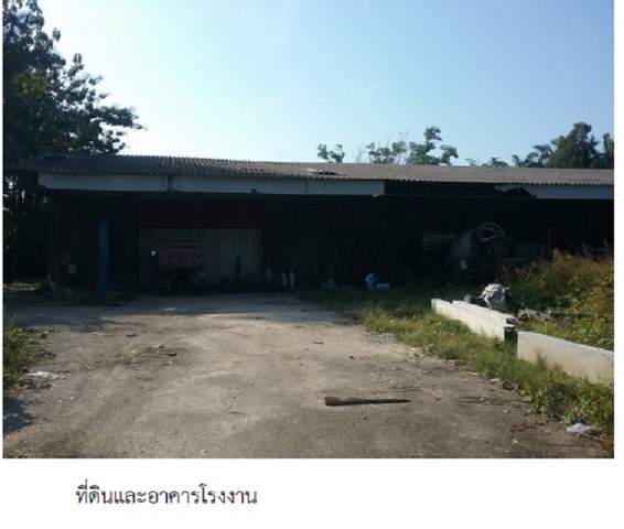 ขายโรงงาน ตำบาลตากแดด อำเภอเมืองชมพร จังหวัดชุมพร   .