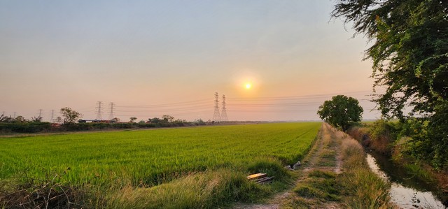 ขายที่ดินลำลูกกา คลอง 8 ติดถนนลาดยาง 31ไร่ อยู่ใกล้แหล่งชุมชน  .