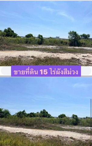 ขายที่ดินหน้านิคมอมตะ ชลบุรี  .