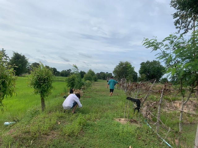 ขายที่ดิน พร้อมสิ่งปลูกสร้าง เนื้อที่ 18 ไร่ครึ่ง มหาสารคาม  .