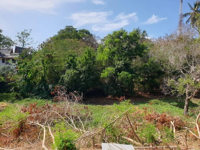 Land for sale within walking distance to Rawai beach