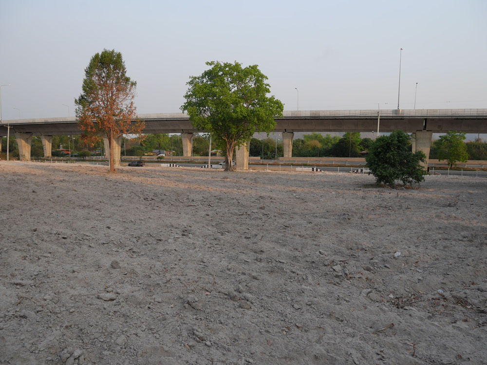 ขายที่ดินถมแล้ว ทำเลดี ใกล้สี่แยกวัดพระพุทธฉาย เมืองสระบุรี ติดถนนบายพาสกรุงเทพ-โคราช 3.9 ล้าน/ไร่ หน้ากว้าง125ม.